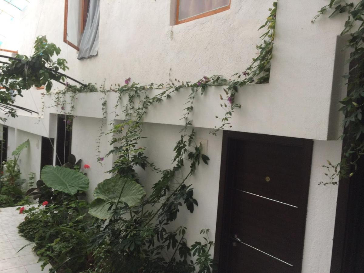 Family Hotel Belvedere Dŭlgopol Zewnętrze zdjęcie