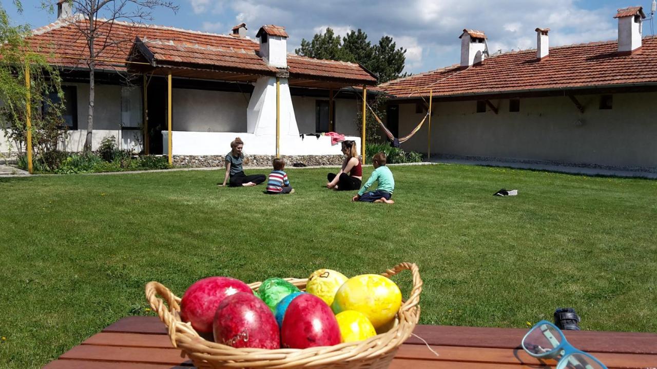Family Hotel Belvedere Dŭlgopol Zewnętrze zdjęcie