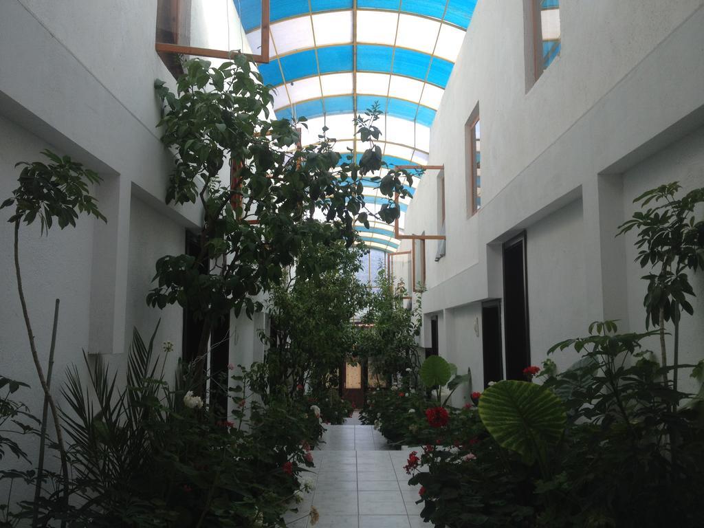Family Hotel Belvedere Dŭlgopol Zewnętrze zdjęcie