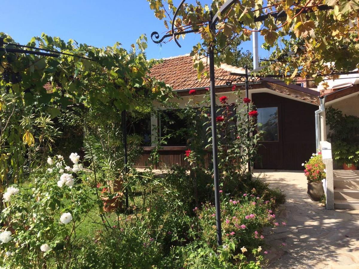 Family Hotel Belvedere Dŭlgopol Zewnętrze zdjęcie