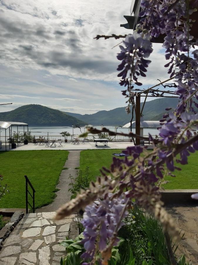 Family Hotel Belvedere Dŭlgopol Zewnętrze zdjęcie