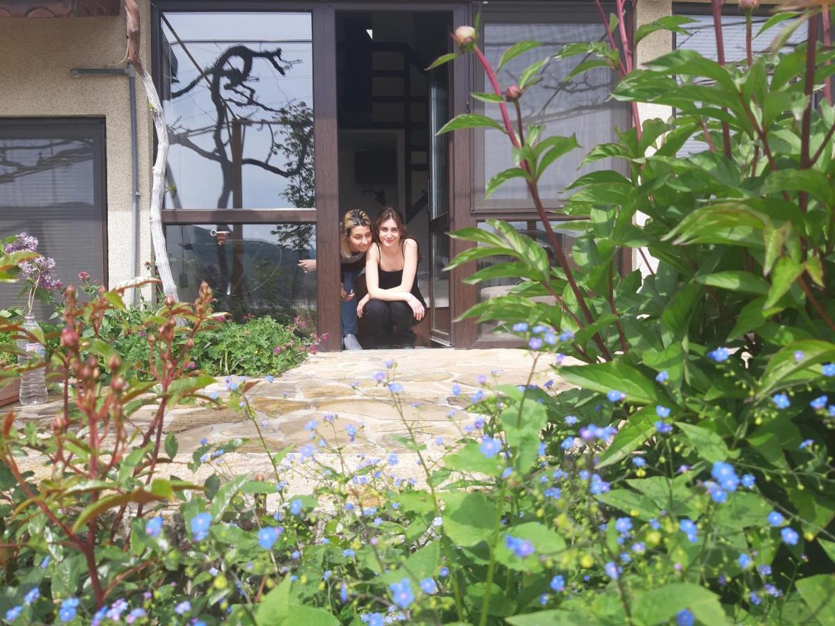 Family Hotel Belvedere Dŭlgopol Zewnętrze zdjęcie