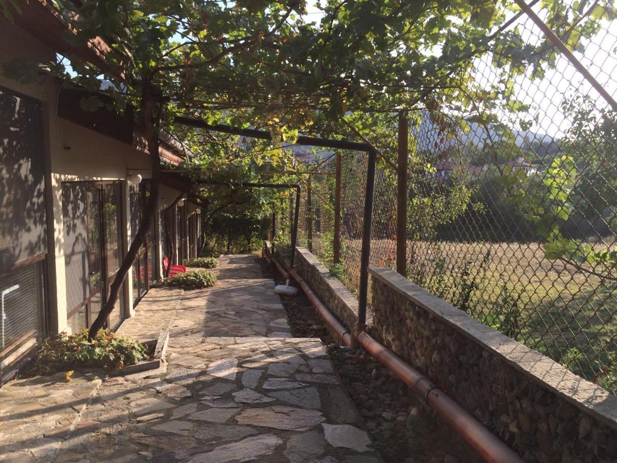 Family Hotel Belvedere Dŭlgopol Zewnętrze zdjęcie